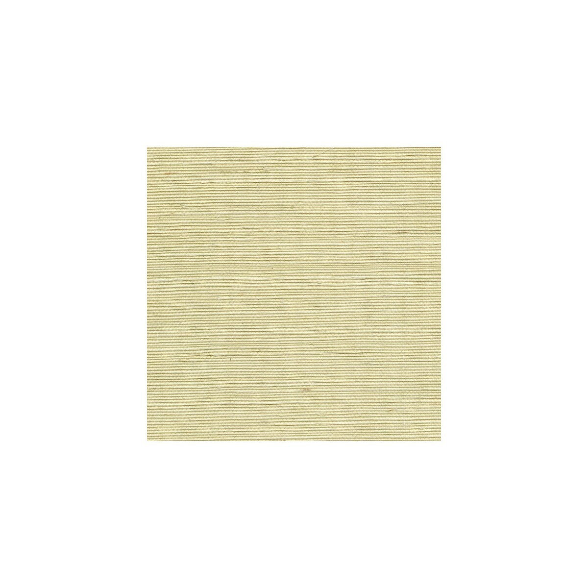 wss4525wt0-sisal-limeaid-winfield-thybony