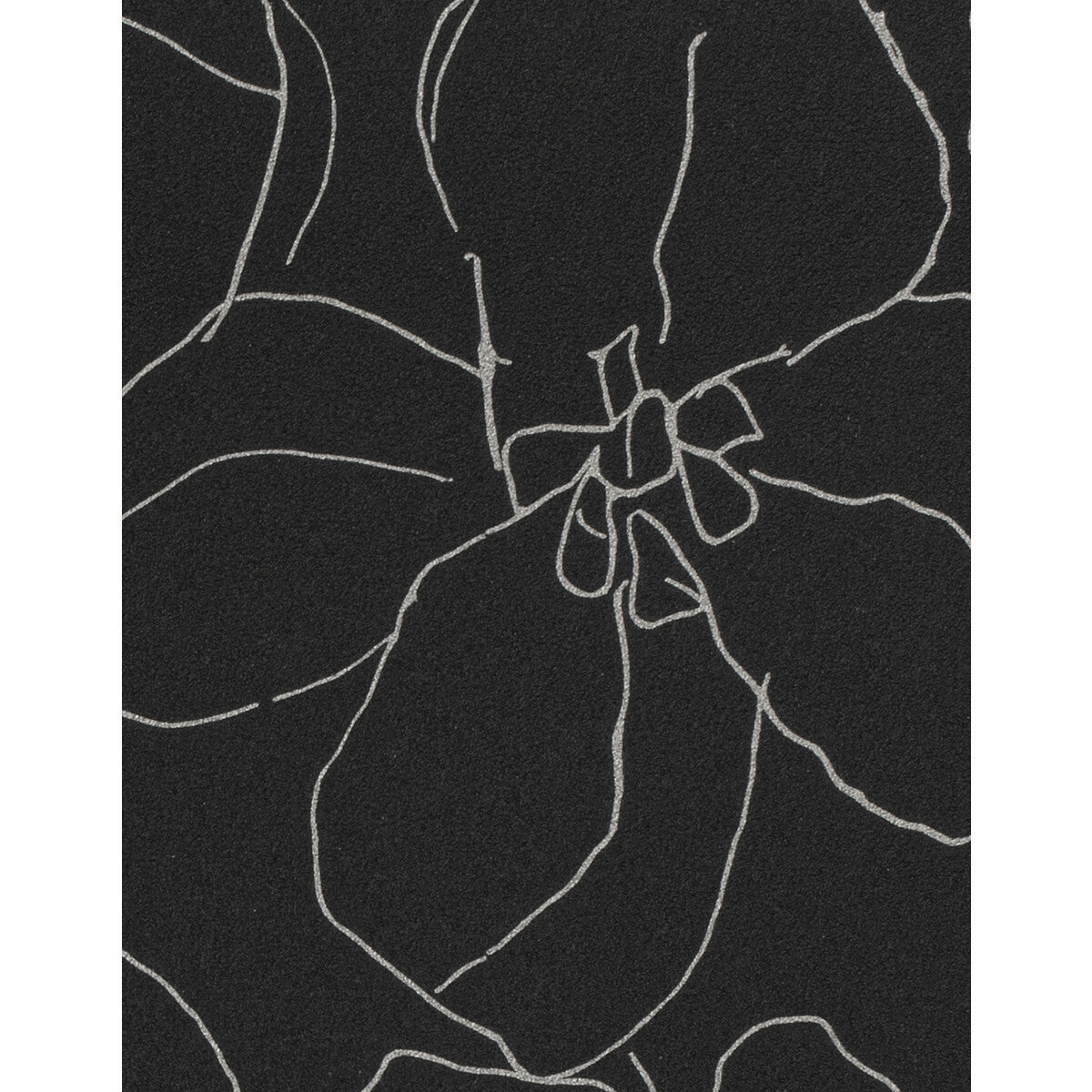 wtn1009wt0-garden-graphite-winfield-thybony - WINFIELD THYBONY Wallpaper
