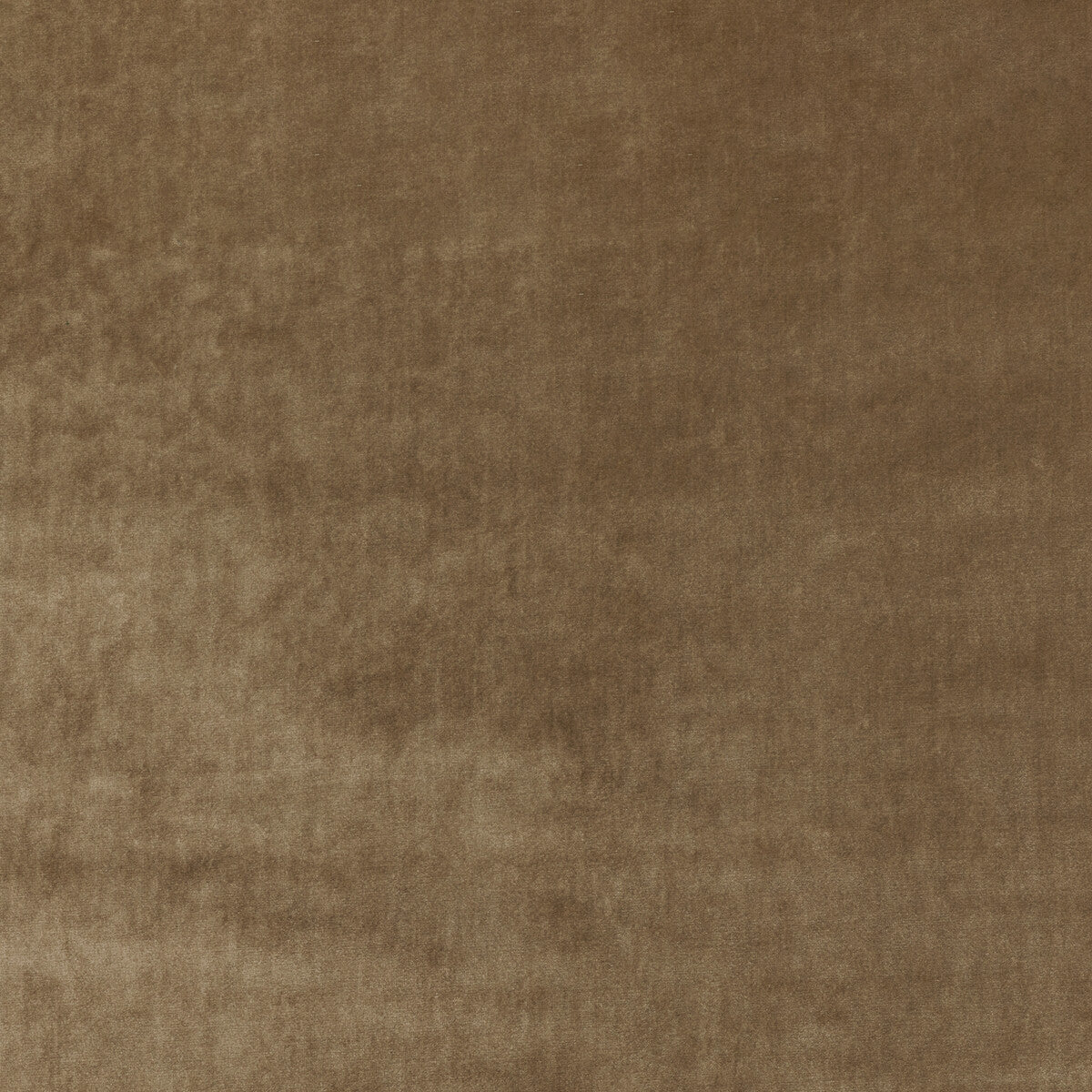 36063160-new-elegance-camel-kravet-couture
