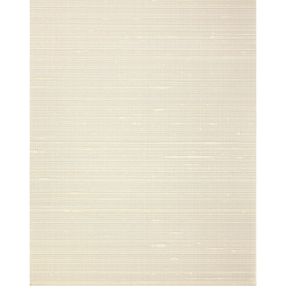 wns5551wt0-misheo-cookie-winfield-thybony - WINFIELD THYBONY Wallpaper