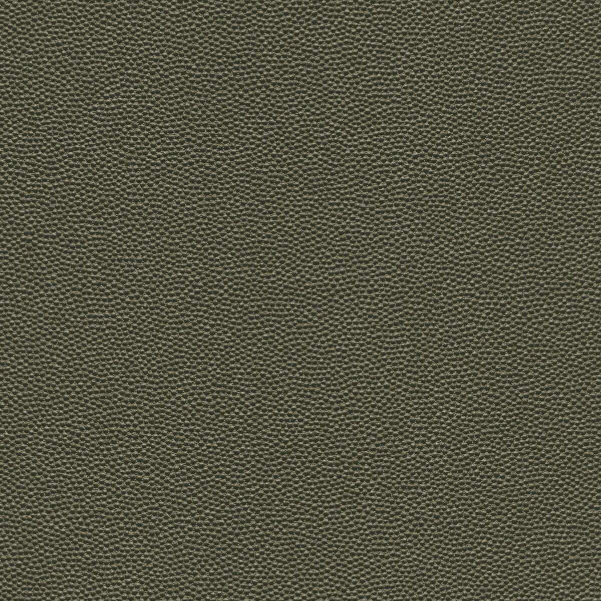 hammer30-kravet-design-hammer-3-kravet-design