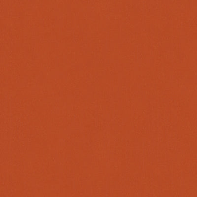 br-897796780-lubeck-cotton-velvet-auburn-brunschwig-fils - BRUNSCHWIG & FILS Fabric