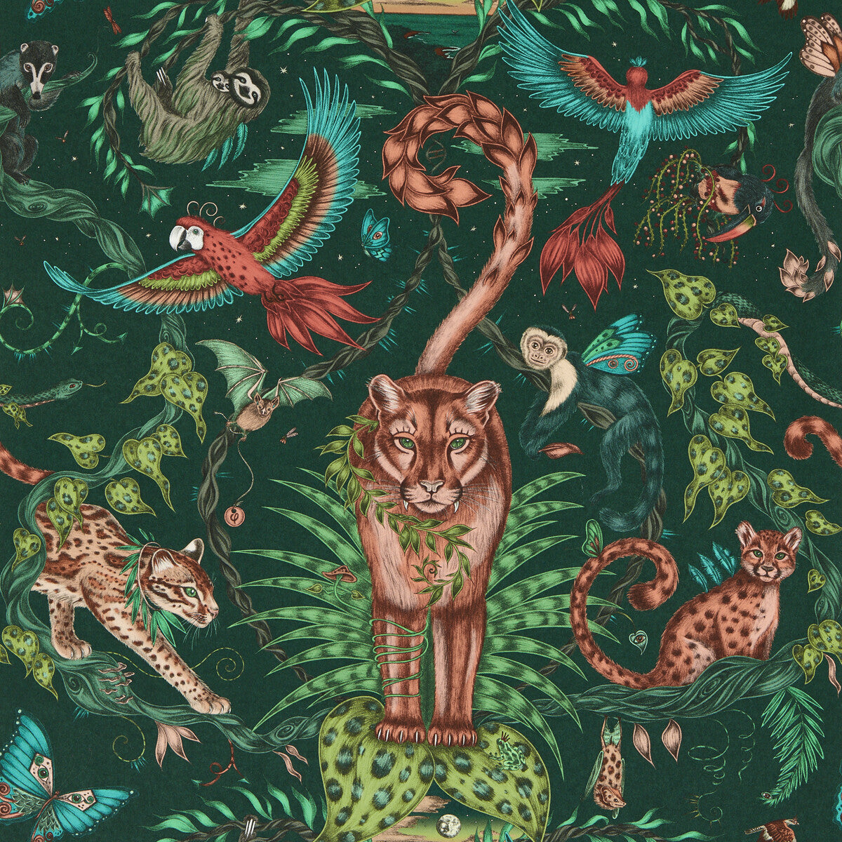 w021302cac0-bosque-dreams-forest-wp-clarke-and-clarke - CLARKE AND CLARKE Wallpaper