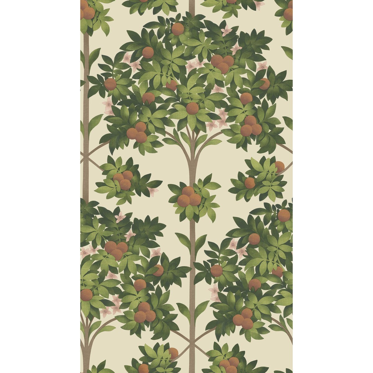 1171001cs0-orange-blossom-orange-spring-greenparch-cole-son