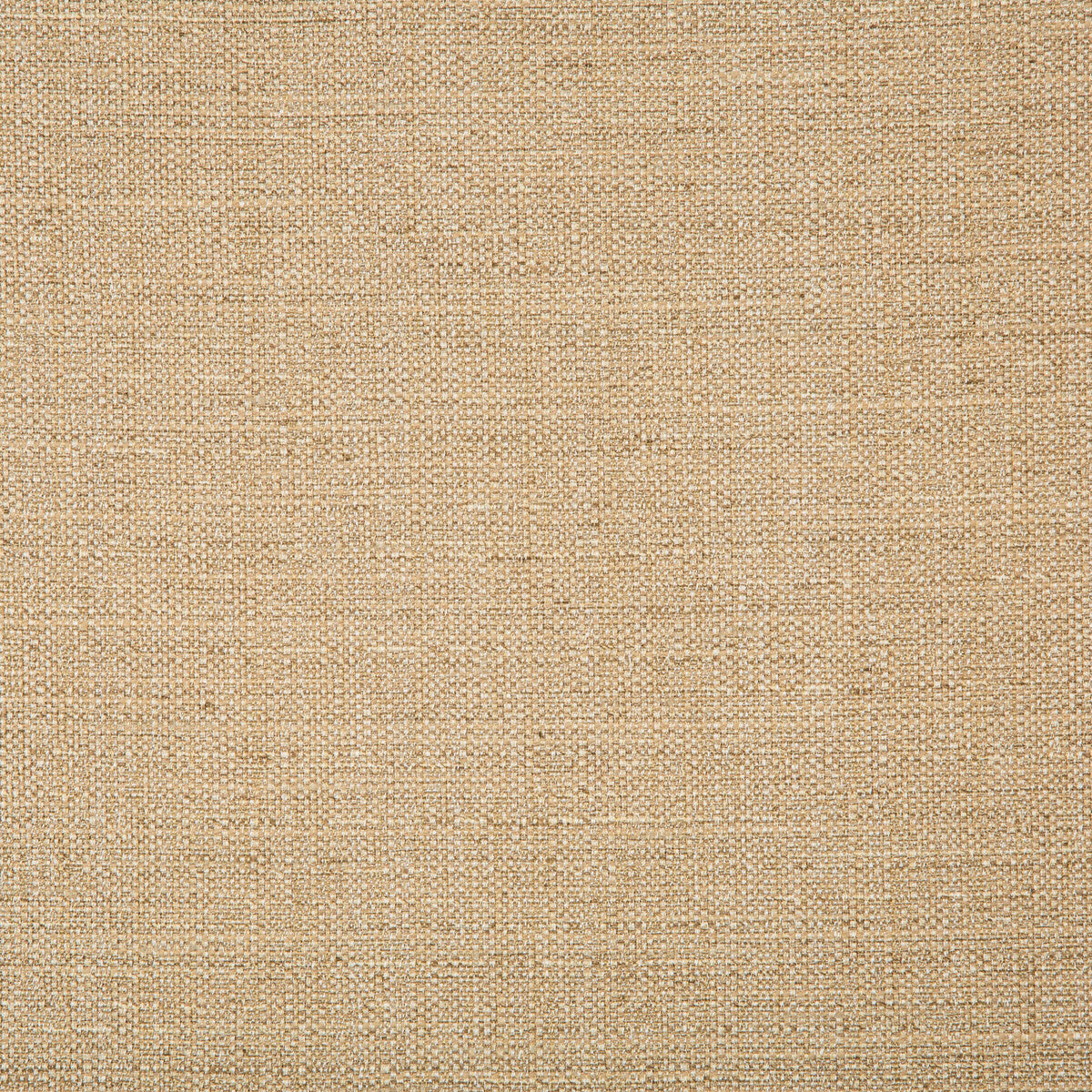 466516160-kravet-basics-4665-1616 - KRAVET BASICS Fabric