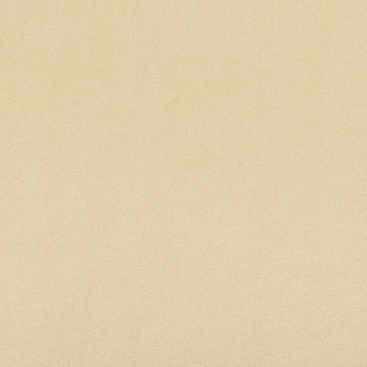354021160-madison-velvet-papyrus-kravet-contract - KRAVET CONTRACT Fabric
