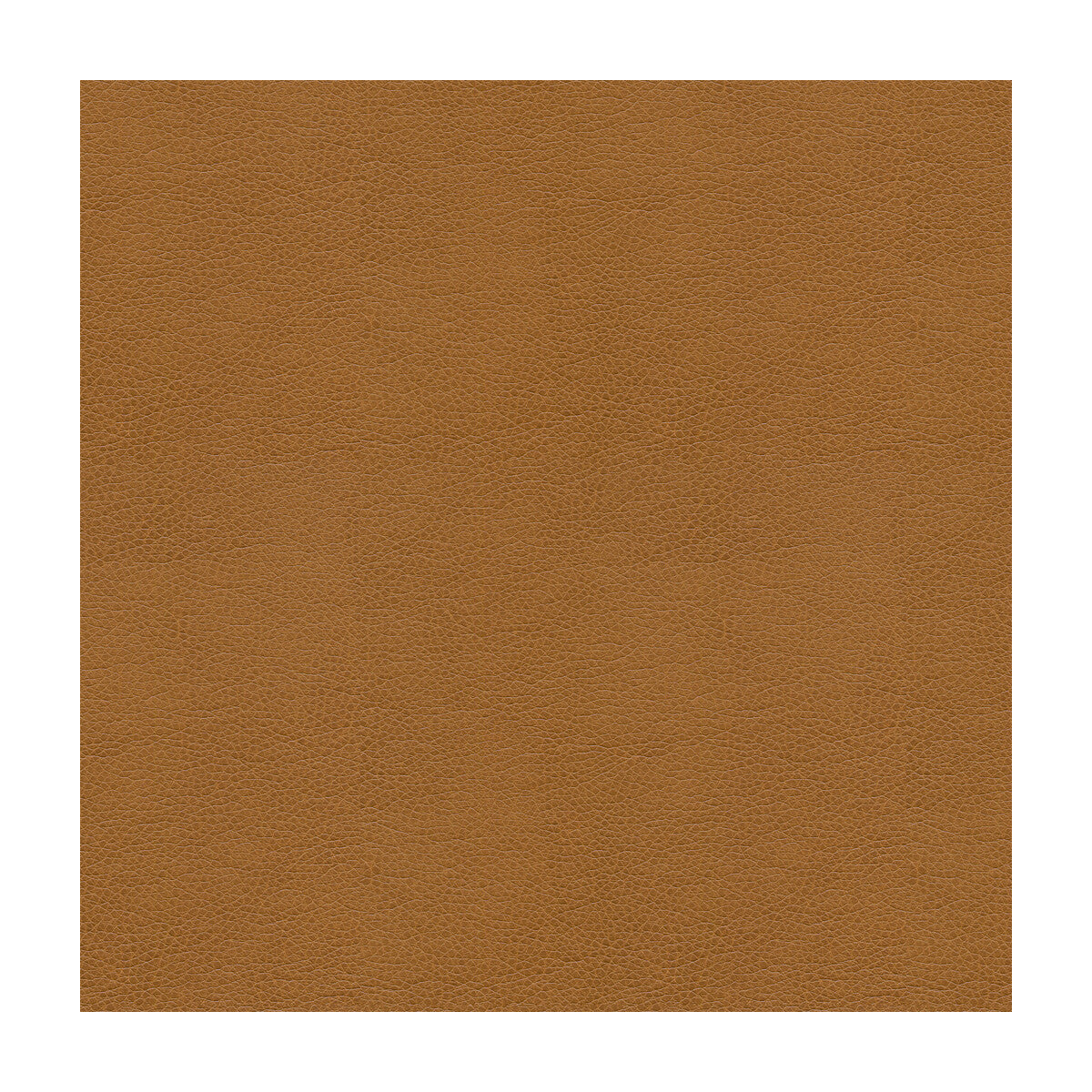 alina160-kravet-smart-alina-16-kravet-smart