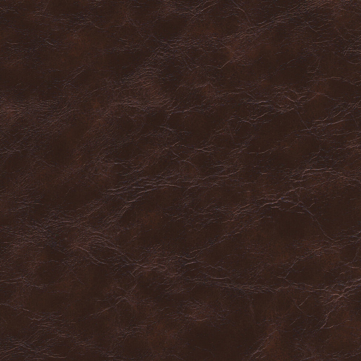 equine660-kravet-design-equine-66-kravet-design - KRAVET DESIGN Fabric