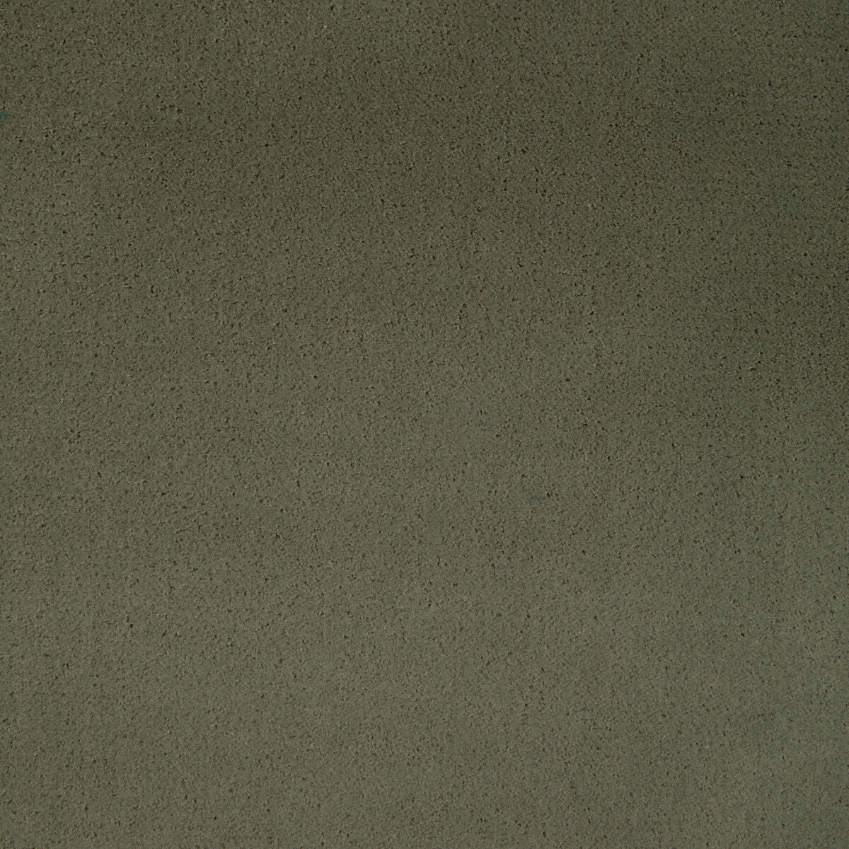 365431300-fomo-fennel-kravet-contract
