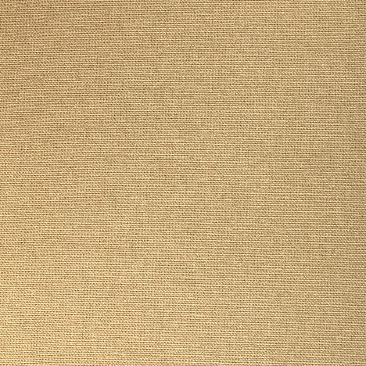 366561660-kravet-basics-36656-166 - KRAVET BASICS Fabric