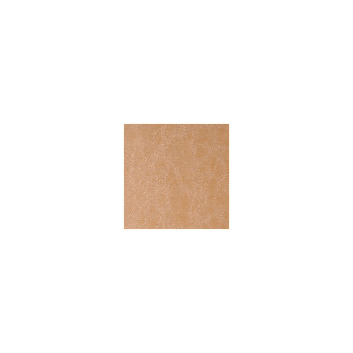randwick160-randwick-buckskin-kravet-design