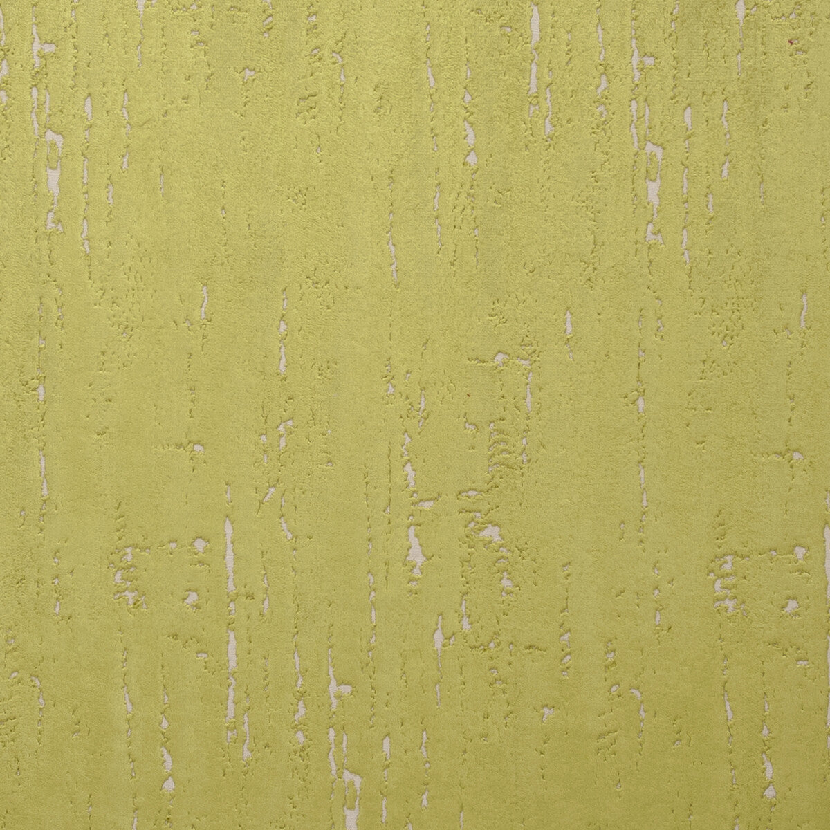 f075002cac0-aurora-citrus-clarke-and-clarke - CLARKE AND CLARKE Fabric