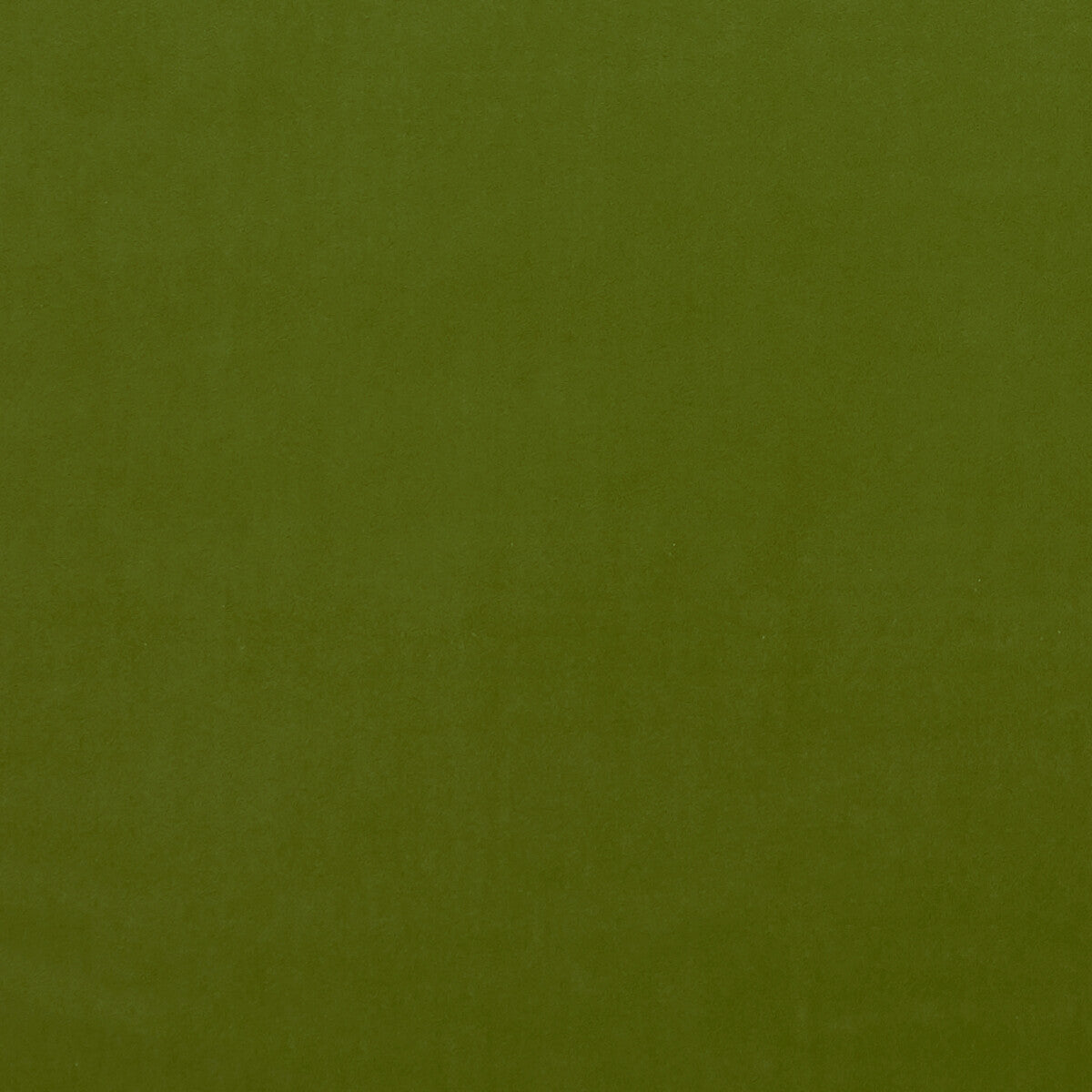 f075333cac0-alvar-citron-clarke-and-clarke - CLARKE AND CLARKE Fabric