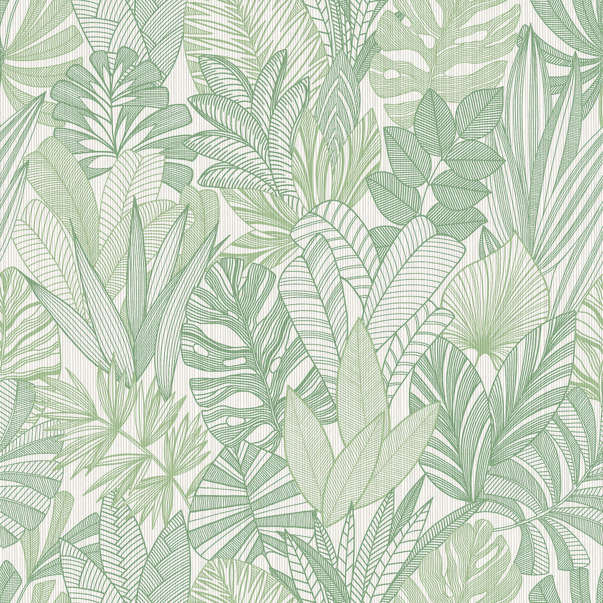 wtk20204wt0-cornish-lane-tropicale-winfield-thybony - WINFIELD THYBONY Wallpaper