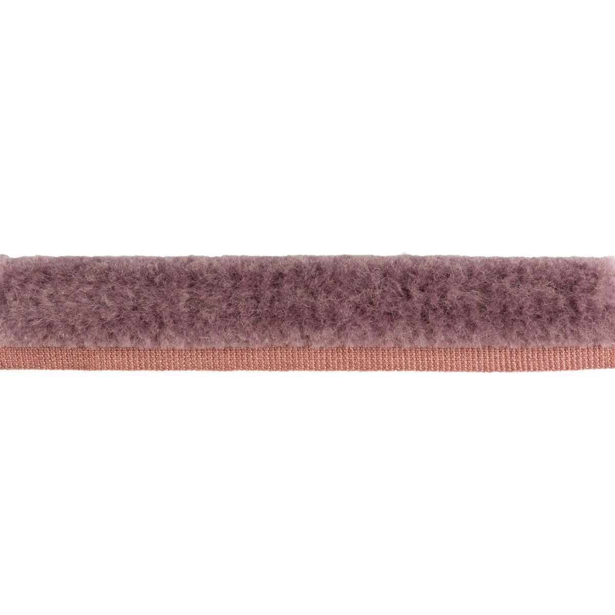 t8015508100-brosse-de-laine-amethyst-brunschwig-fils - BRUNSCHWIG & FILS Trim