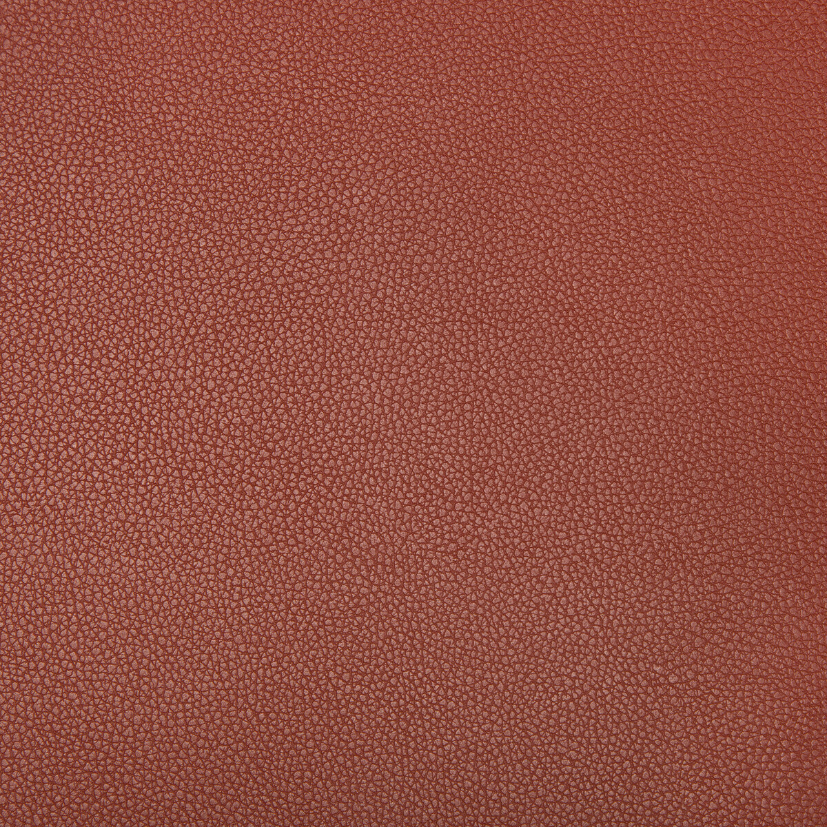 syrus9240-syrus-sienna-kravet-contract