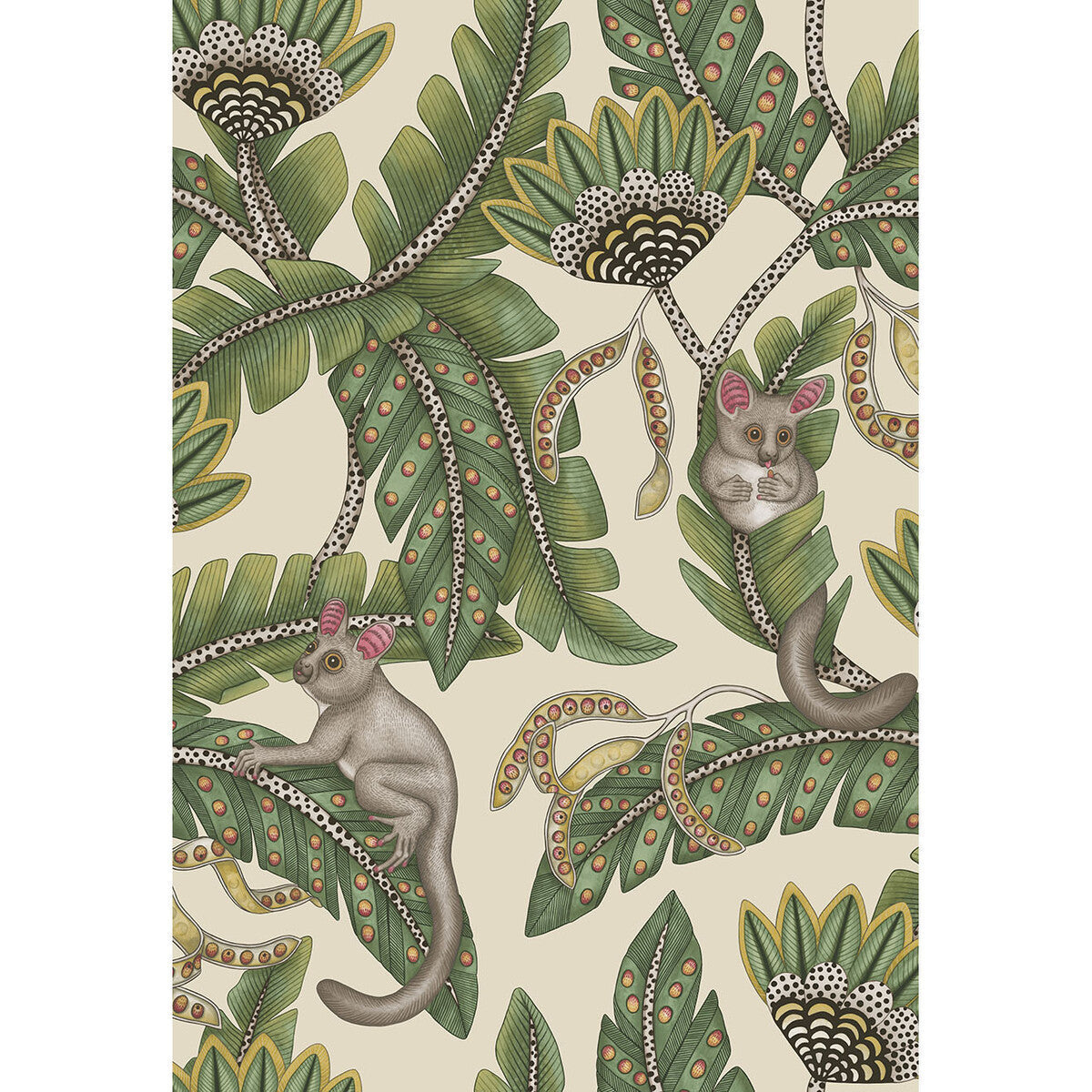 1197035cs0-bush-baby-sgechrtprchmnt-cole-son - COLE & SON Wallpaper