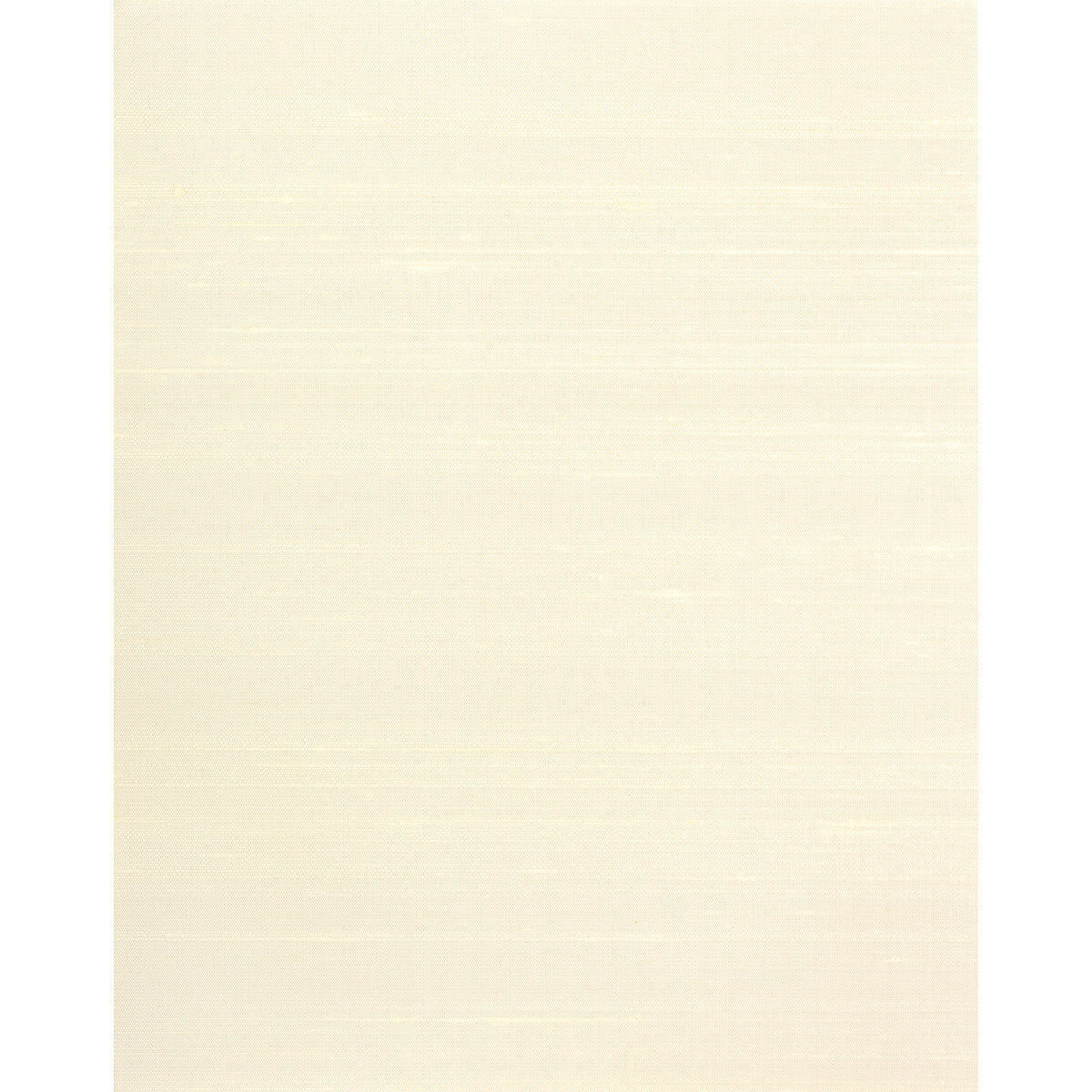 wns5602wt0-carrington-pure-white-winfield-thybony - WINFIELD THYBONY Wallpaper