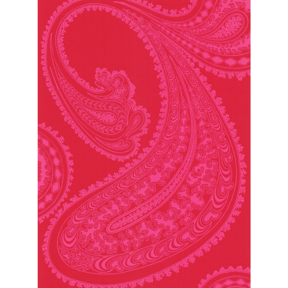 665041cs0-rajapur-pinkre-cole-son - COLE & SON Wallpaper