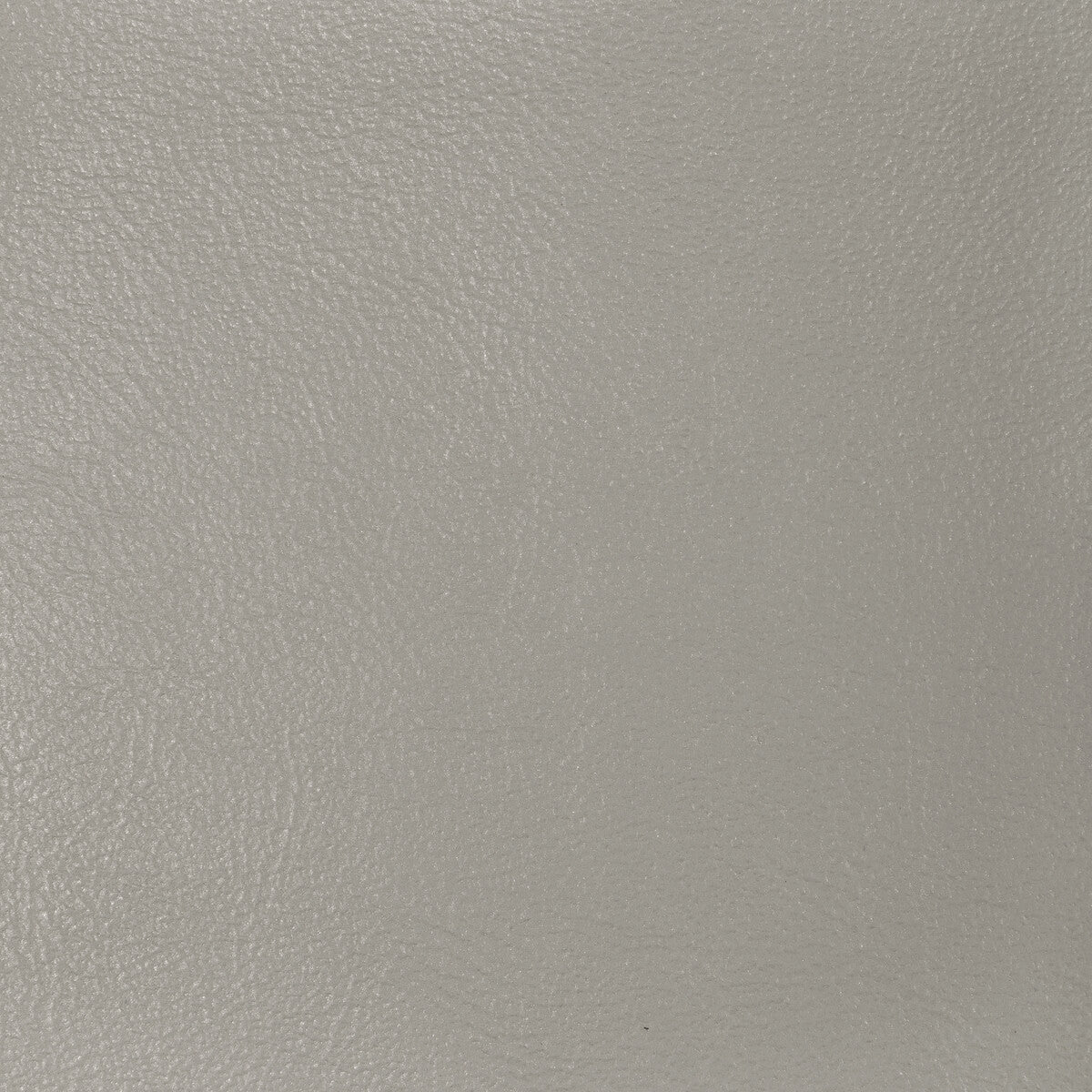 l-glistennickel0-l-glisten-nickel-kravet-design