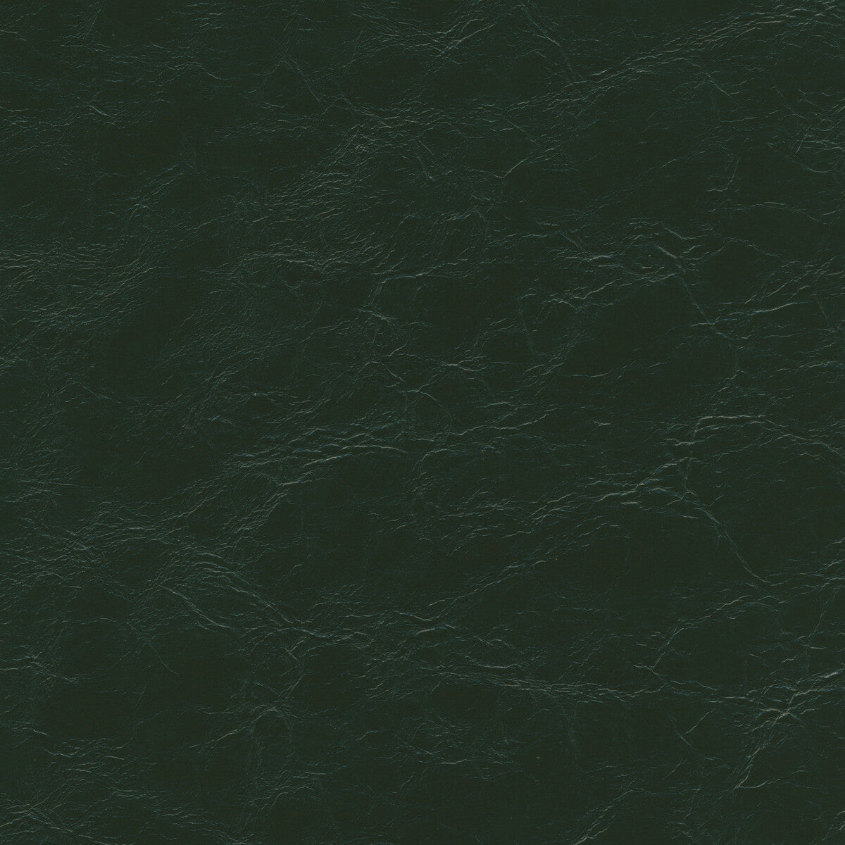 equine30-kravet-design-equine-3-kravet-design - KRAVET DESIGN Fabric