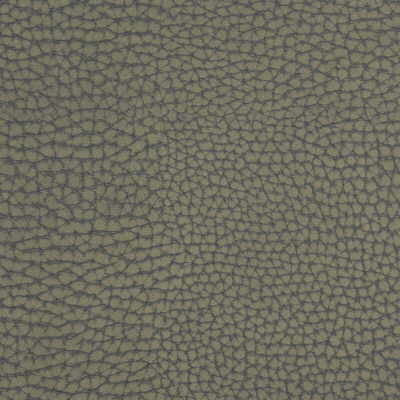 forgetful210-forgetful-greystone-kravet-couture