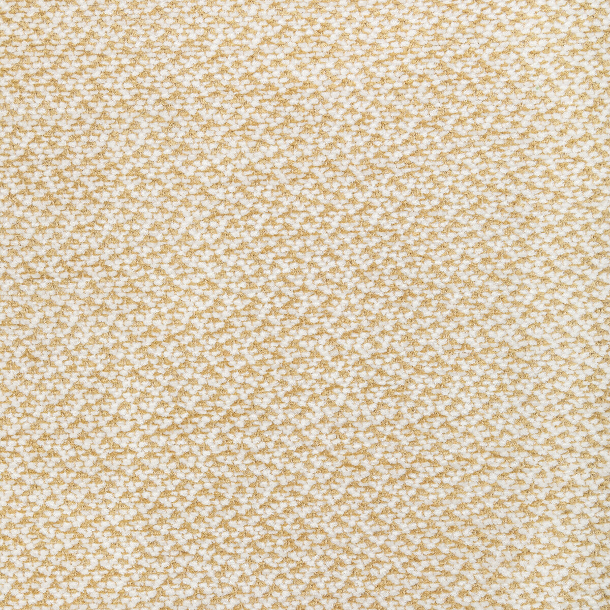 802212240-sasson-texture-gold-brunschwig-fils