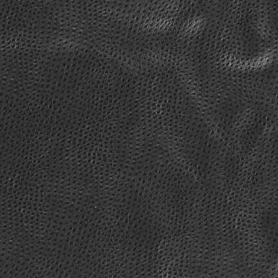 delaney80-kravet-design-delaney-8-kravet-design - KRAVET DESIGN Fabric