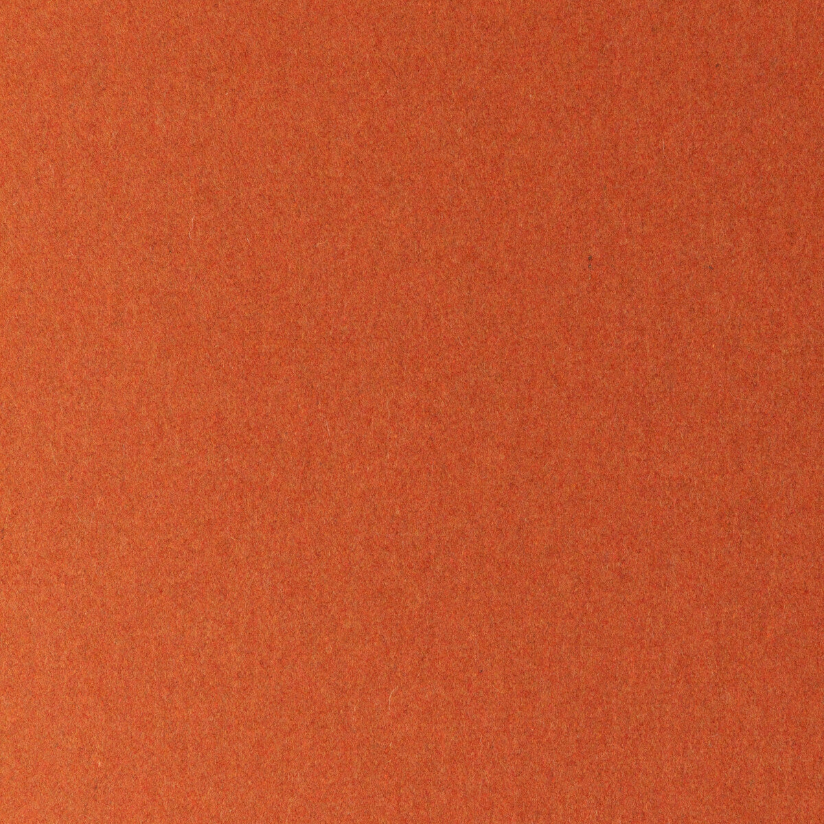 343972120-jefferson-wool-squash-kravet-contract