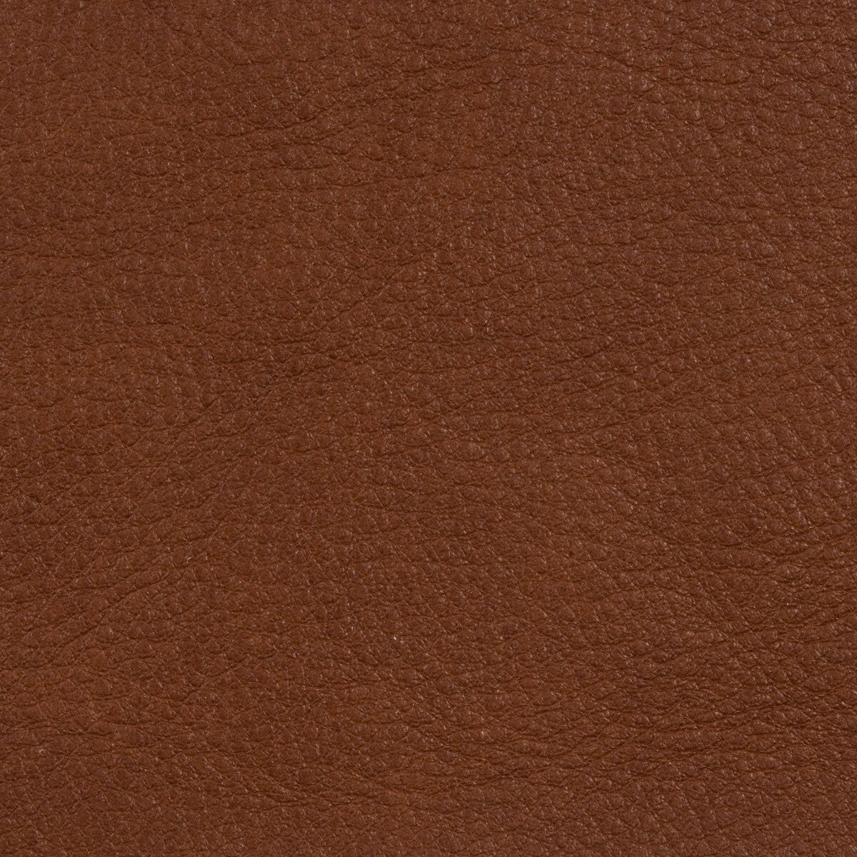 l-rangecoffee0-l-range-coffee-kravet-design