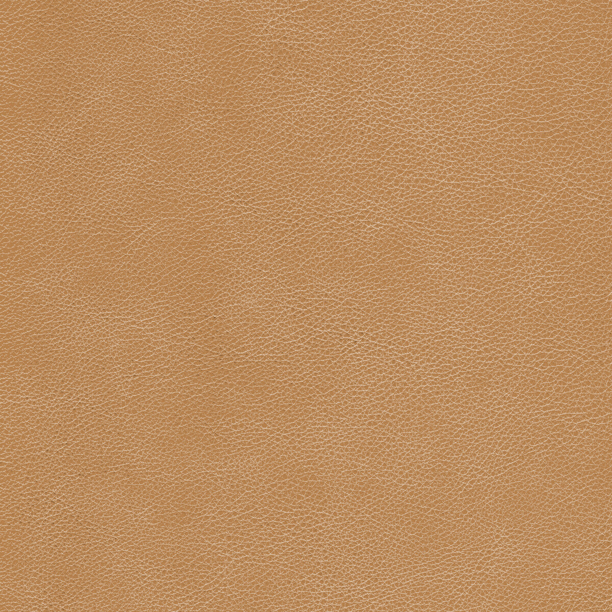 l-cimarronchestnut0-kravet-design-l-cimarron-chestnut-kravet-design