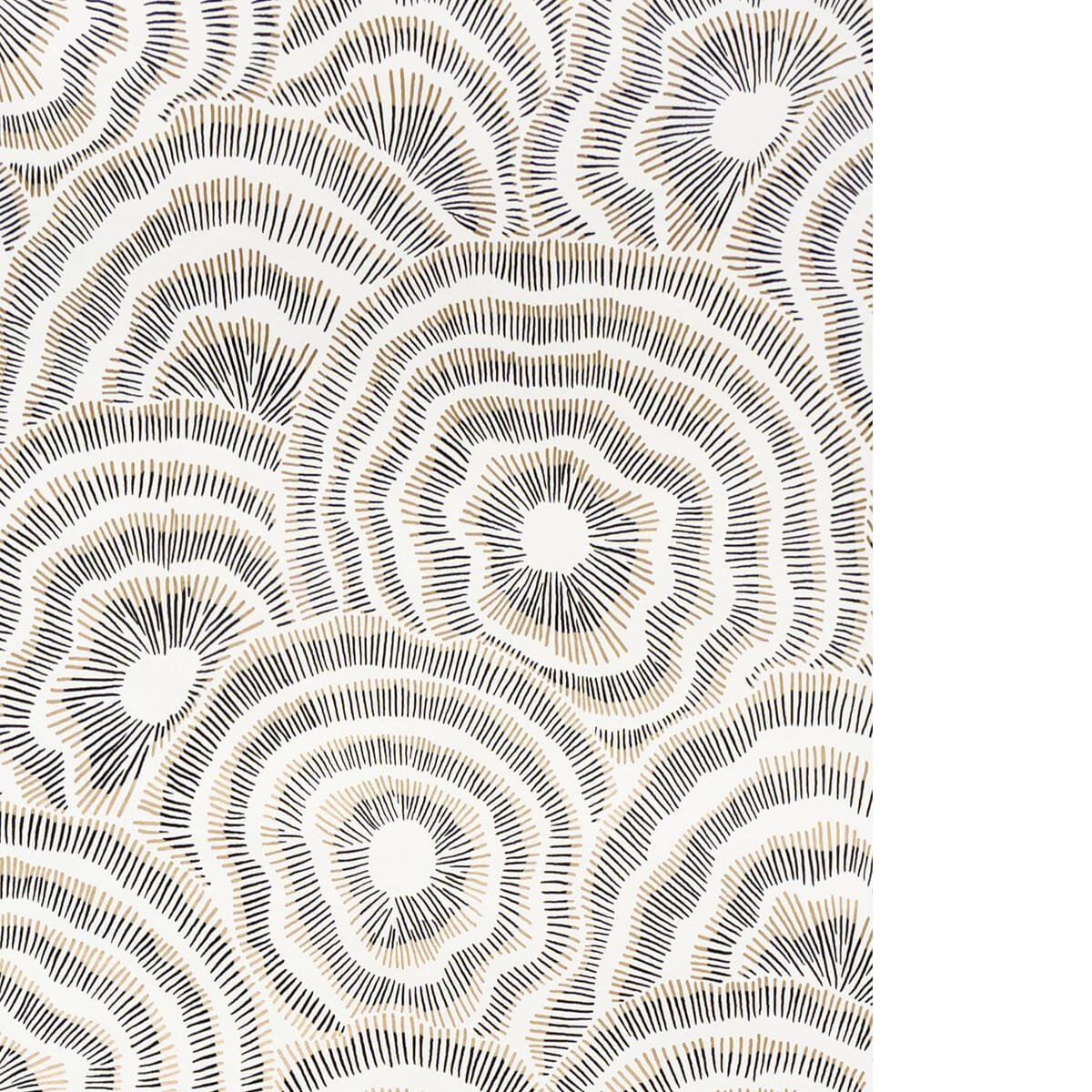 w3823840-panache-wp-onyx-kravet-couture - KRAVET COUTURE Wallpaper