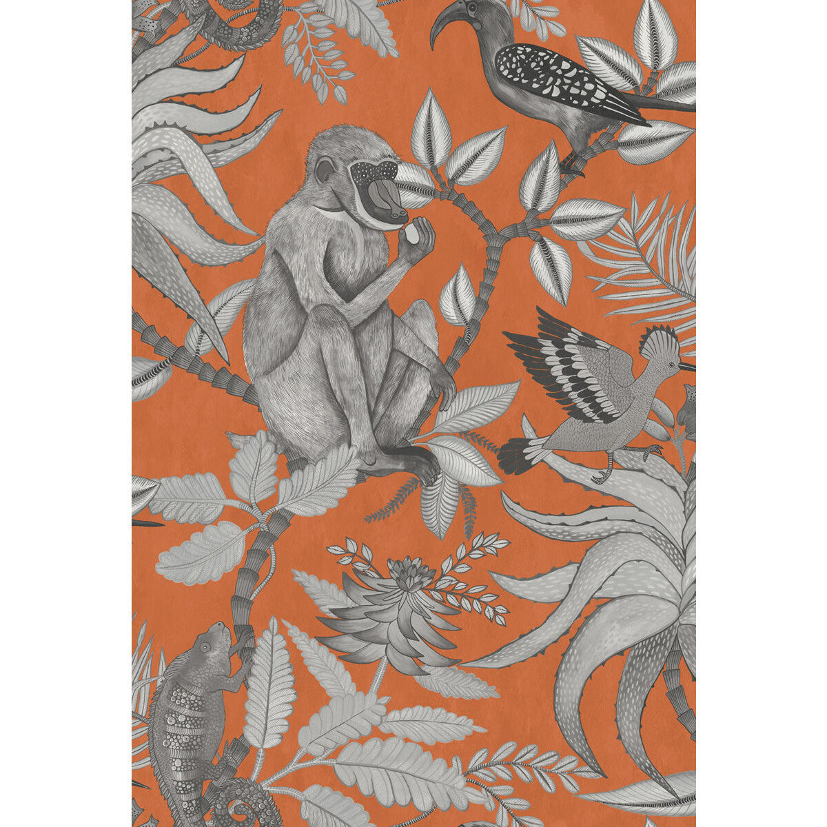 1091001cs0-savuti-orange-cole-son
