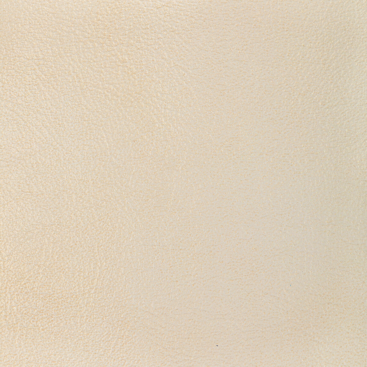 l-glistenseashell0-l-glisten-seashell-kravet-design