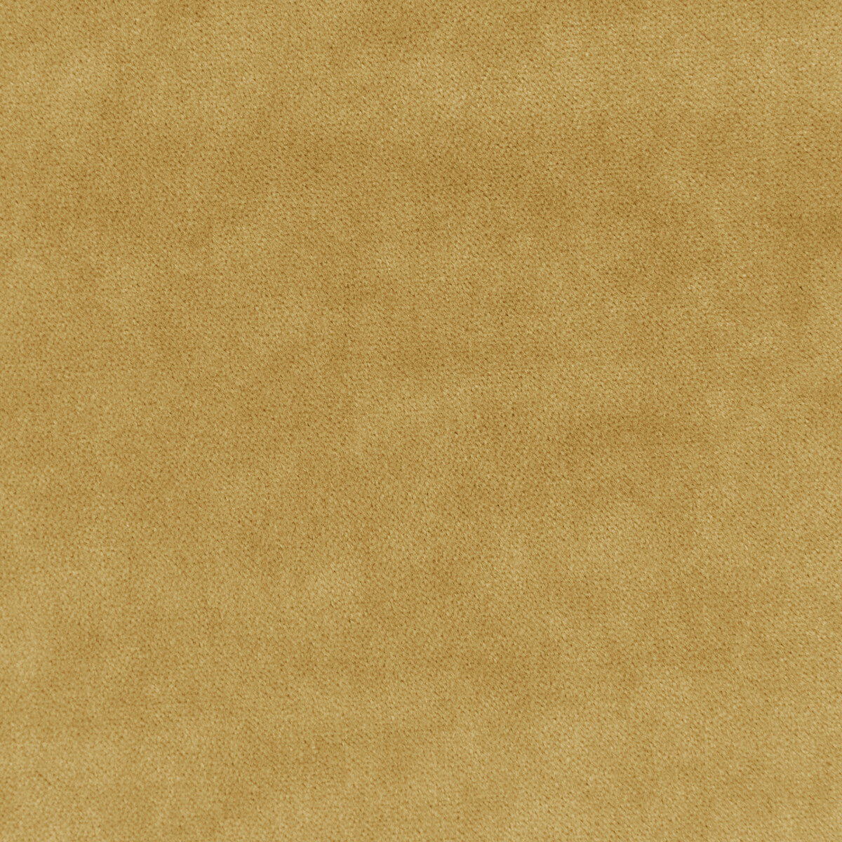 3329940-kravet-basics-33299-4 - KRAVET BASICS Fabric