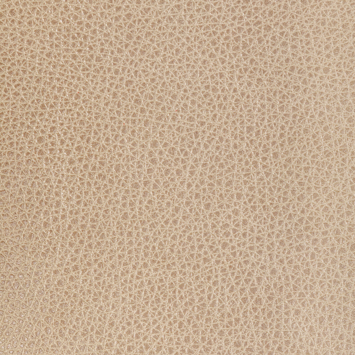 l-bisonoat0-kravet-design-l-bison-oat-kravet-design