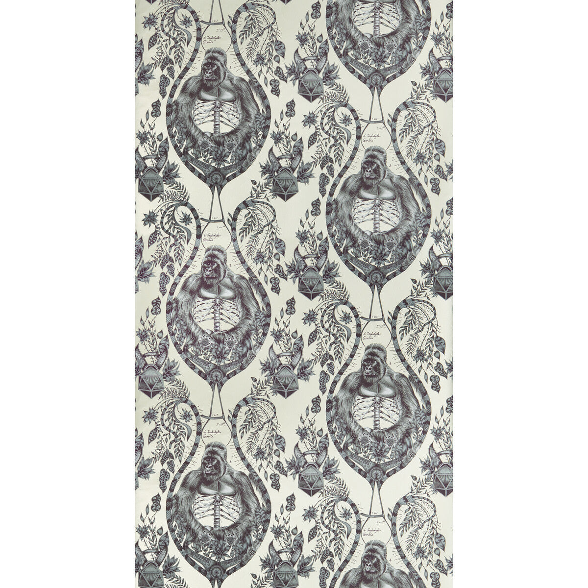 w012002cac0-silverback-gold-clarke-and-clarke - CLARKE AND CLARKE Wallpaper