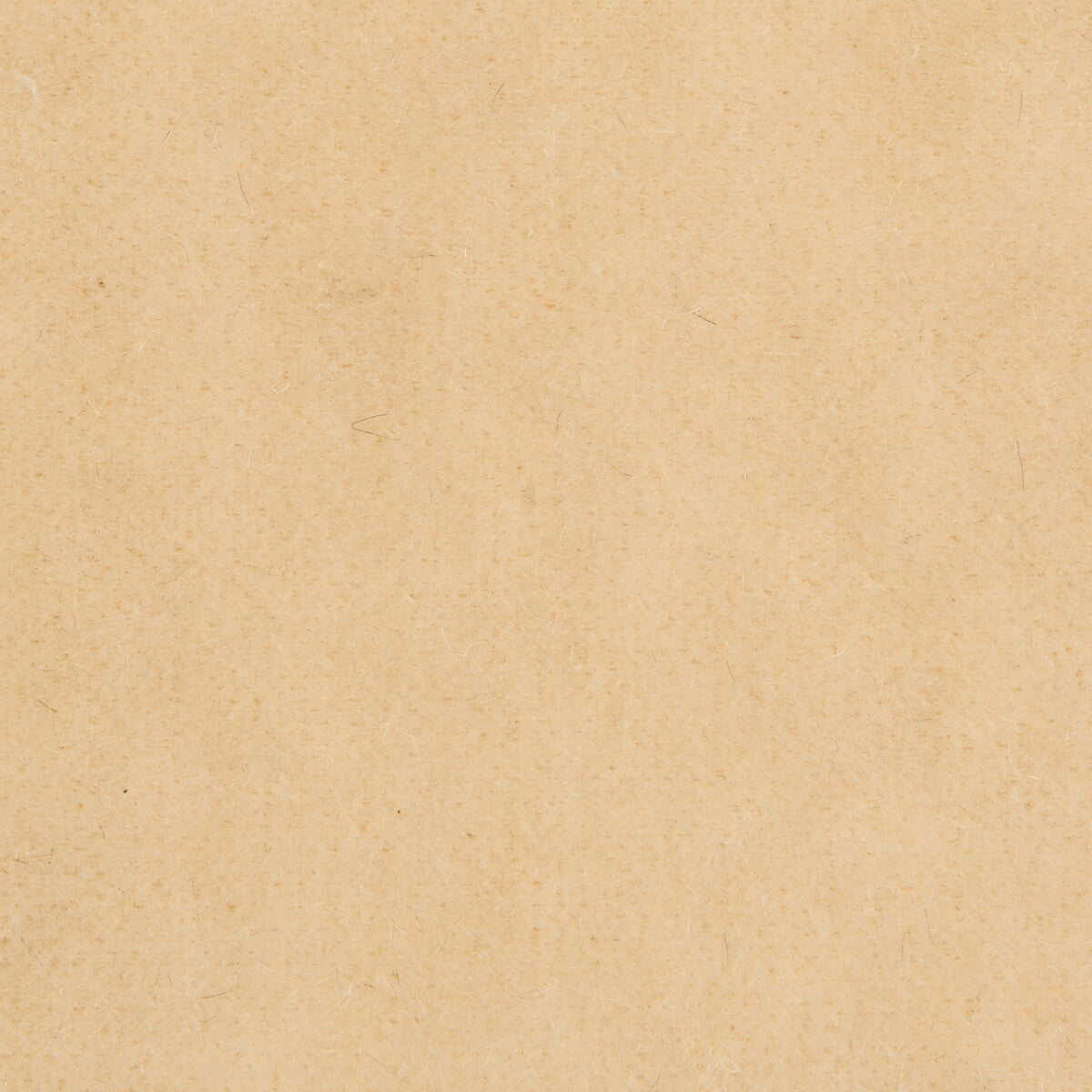 80141011010-bachelor-mohair-almond-brunschwig-fils