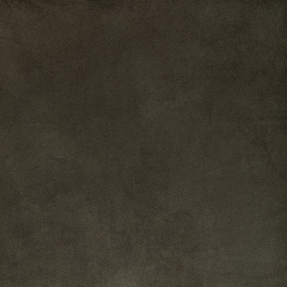 3665221110-rocco-velvet-seal-kravet-contract