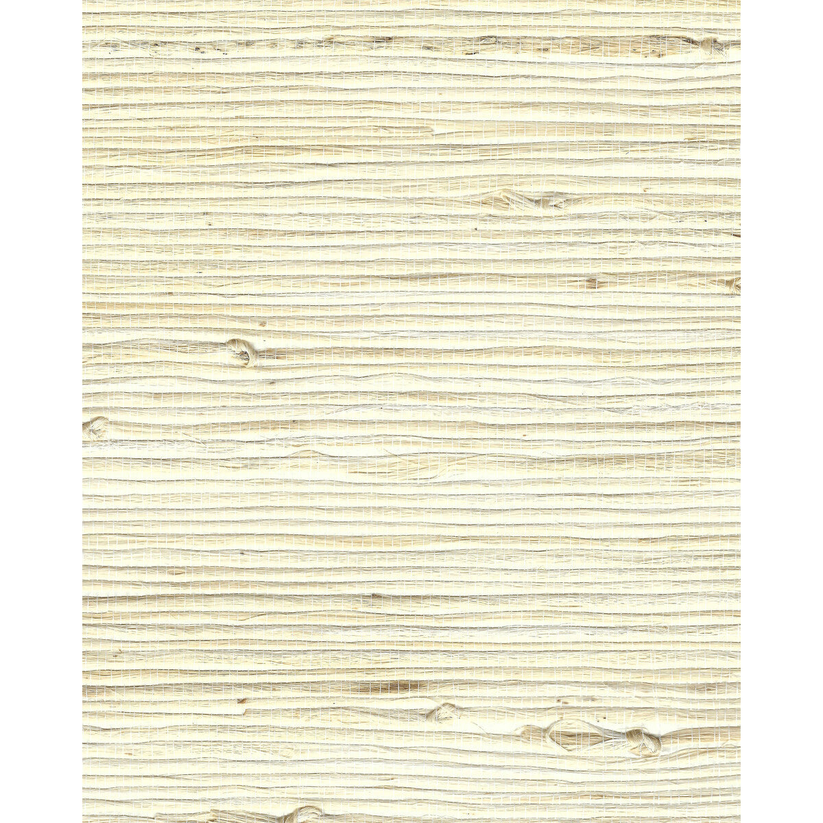 wnr2051wt0-mayu-sand-winfield-thybony - WINFIELD THYBONY Wallpaper