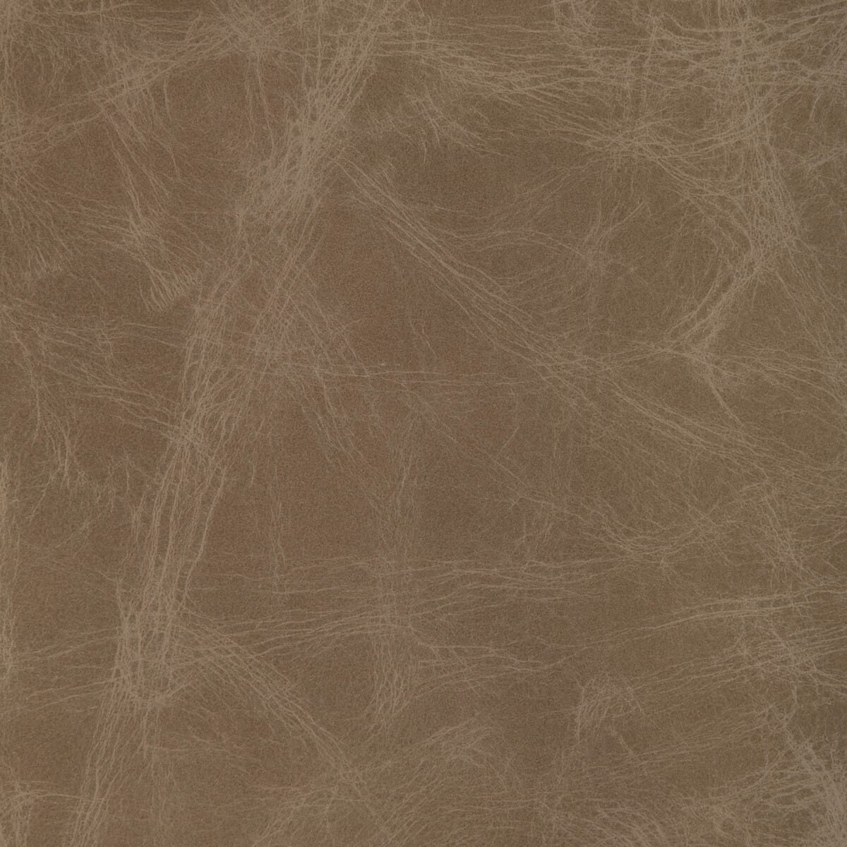 l-ovinefawn0-l-ovine-fawn-kravet-design - KRAVET DESIGN Fabric