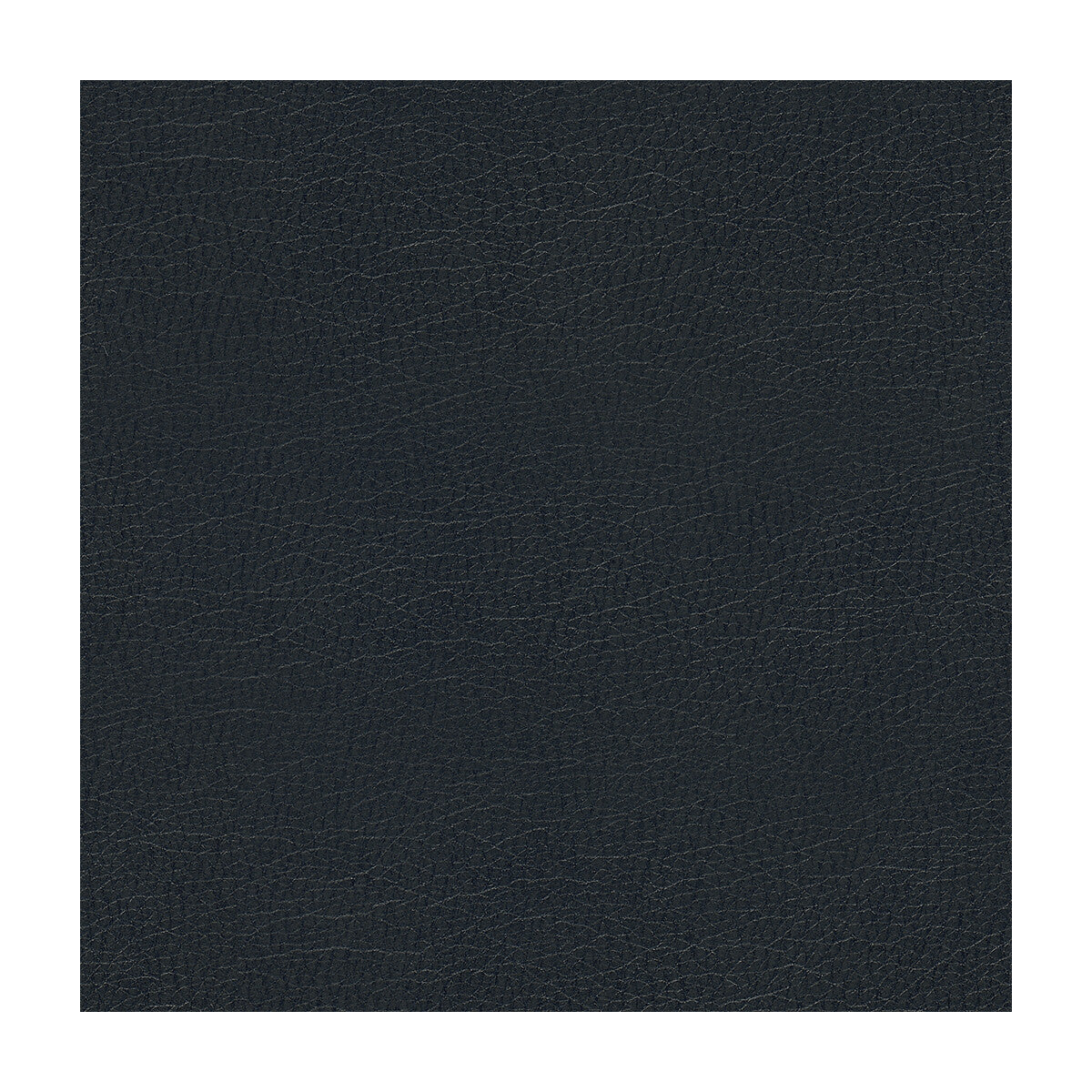 valamas500-valamas-ink-kravet-design - KRAVET DESIGN Fabric