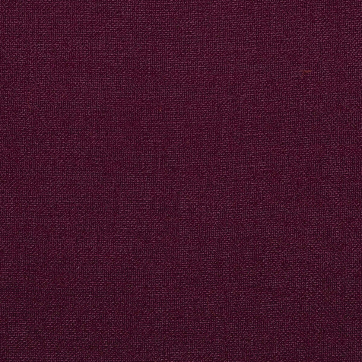 gdt5428120-shaba-vino-gaston-y-daniela