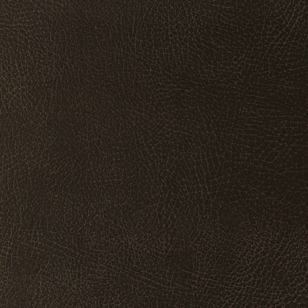 glendale16660-kravet-design-glendale-1666-kravet-design