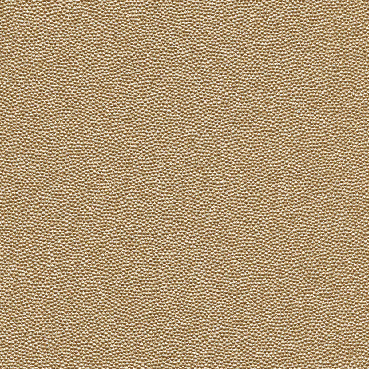 hammer110-kravet-design-hammer-11-kravet-design
