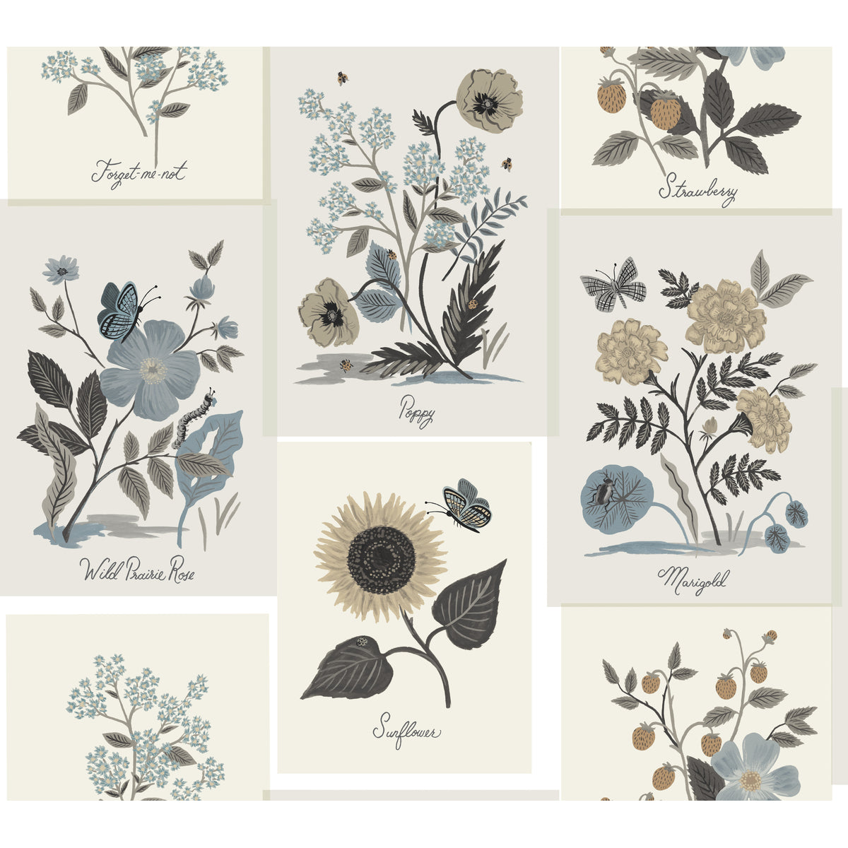 w394761060-kravet-design-w3947-6106-kravet-design - KRAVET DESIGN Wallpaper