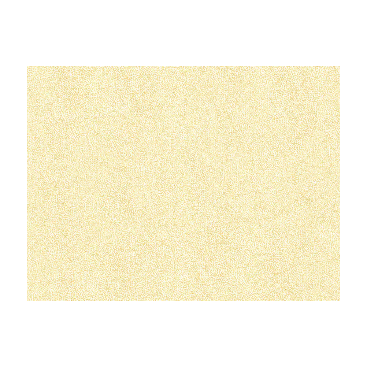 abilene10-abilene-fossil-kravet-contract
