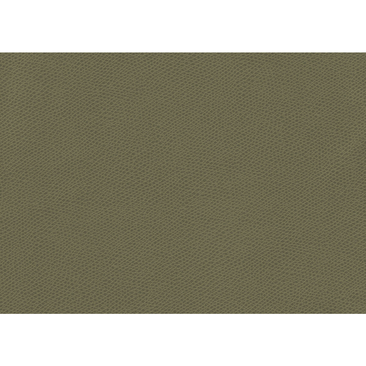 ophidian30-ophidian-sage-kravet-contract