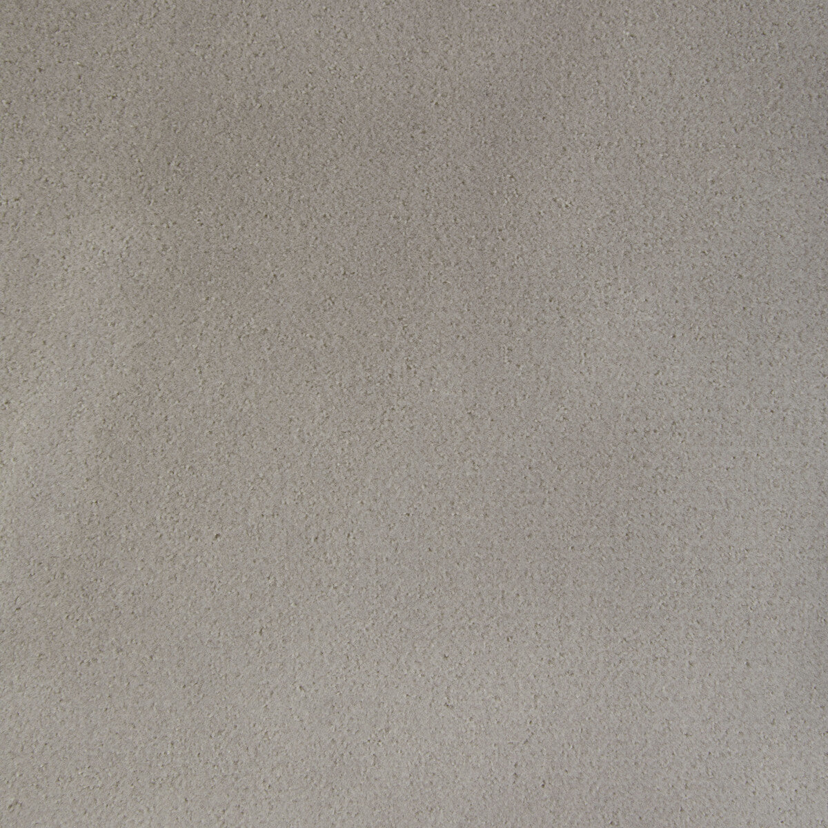 3654311010-fomo-bramble-kravet-contract