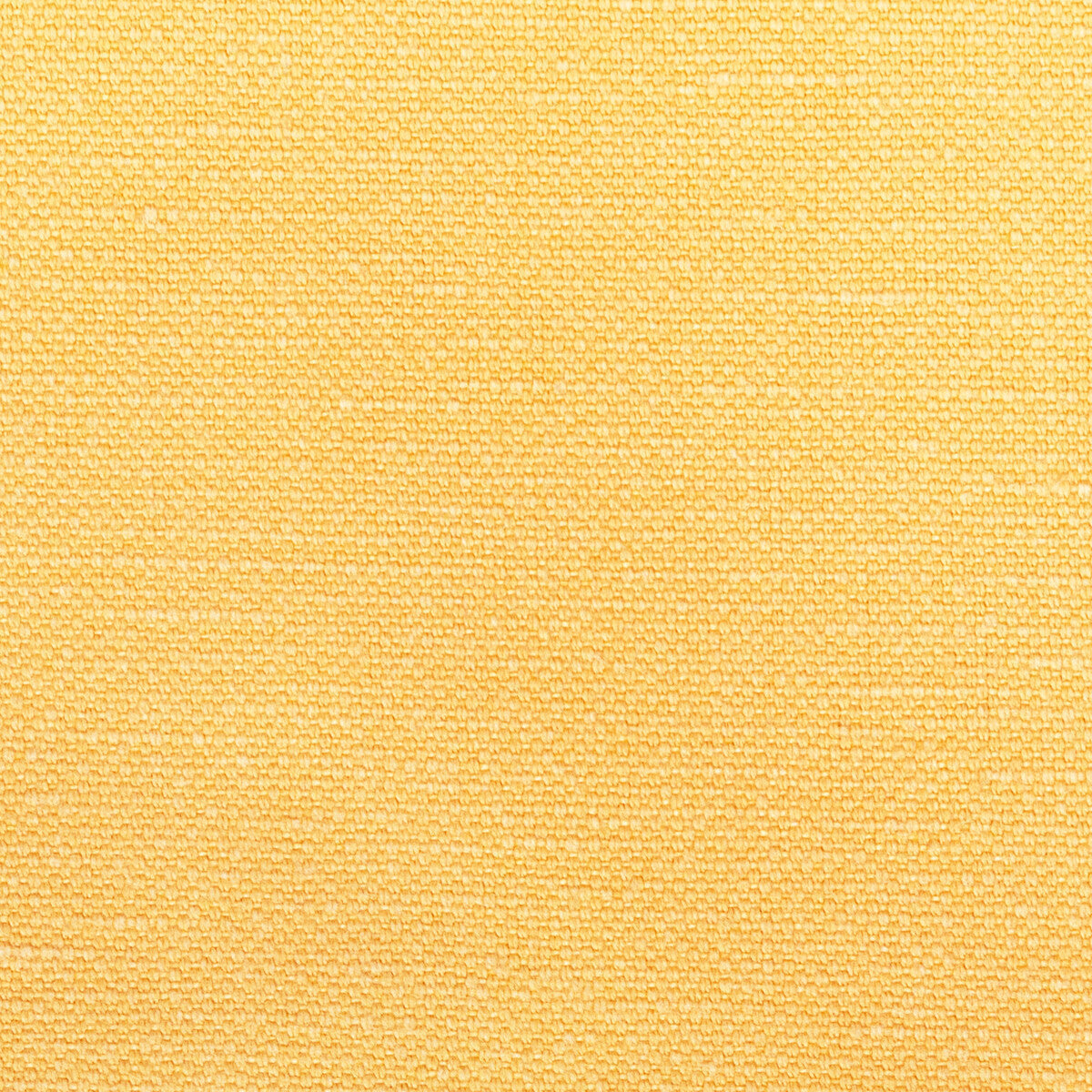 36282140-carson-butter-kravet-basics - KRAVET BASICS Fabric